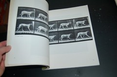 Horses and Other Animals in Motion: 45 Class… by Muybridge, Eadweard Paperback