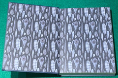 Ornithography by Jessica Roux 1st/1st HC 2024 Birds