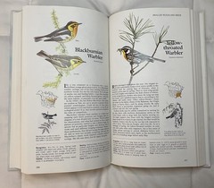 Book of North American Birds Reader’s Digest Hardcover 1990 Illustrated Guide