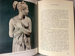 Antonio Canova: Storia dell’uomo e dell’artista by Dante Bovo HC Del Noce. 2001