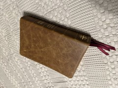 Schuyler ESV Stridon Bible – Desert Camel Calfskin Leather
