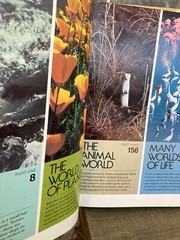 ABC’s of Nature Hardcover Book 1984 Vintage Children’s Book ABC Book
