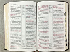 NIV, Thinline Reference Bible, Bonded Leather, Burgundy, Red Letter Edition