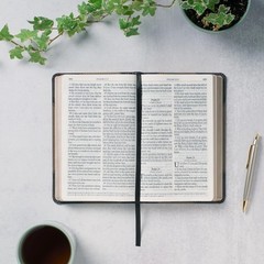 KJV Holy Bible, Giant Print Standard Size Faux Leather Red Letter Edition – Thum