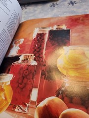 Southern Living 1995 Annual Recipes Cookbook Every Recipe from 1995 368 Pages