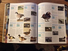 Smithsonian Institution Animal : The Definitive Visual Guide to the World’s…