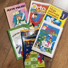 Język Polski Ortografia I Gramatyka Dla Dzieci 17 Książek Klasa 1-5 Polish books