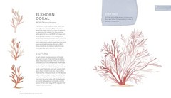 Everyday Watercolor Seashores: A Modern Guide to Painting Shells, Creatures, and