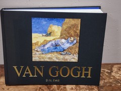 Van Gogh DM FIELD (Hardcover)