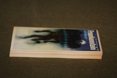 Frankenstein by Mary Shelley 1965 PB 13th Print Signet Classic