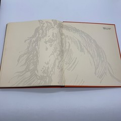1977 Equus The Creation of a Horse Robert Vavra SIGNED 1st Edt Slip Case #187