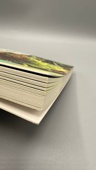 Container Inspiration Postcard Book 25 Garden Design Cards David McDonald Wells
