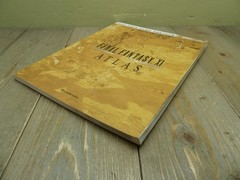 Final Fantasy XI 11 Atlas Brady Games Guide Ed Kern 2005 Good Condition