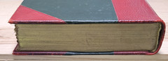 The Insect Book by Leland O. Howard, Ph.D. HC 1903 Red Leather/Green Cloth