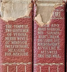 Antique 8‑Volume Shakespeare Works Set Leather‑Bound Gold Embossed 1900s Vintage
