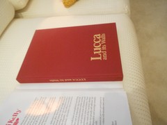 LUCCA AND ITS WALLS 2013 HARDCOVER LELLI KELLY 294 PAGES ISBN ‎ 978-8896527153