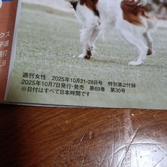 Weekly Josei October 21st and 28th 2025 issue special supplement: Best p #QY6V8F