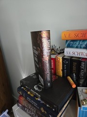 Shield of Sparrows Devney Perry GOLD Edition Romantasy sprayed edges Fantasy
