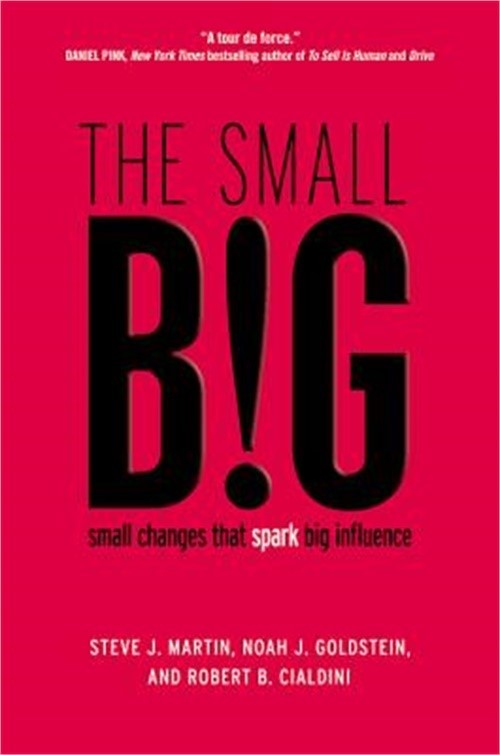 The Small Big: Small Changes That Spark Big Influence (Hardback or Cased Book)