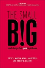 The Small Big: Small Changes That Spark Big Influence (Hardback or Cased Book)