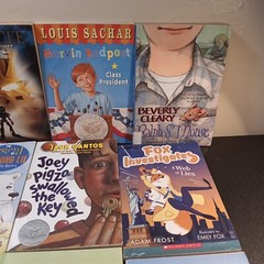 Lot of 12 Chapter Books for Tween BOYS