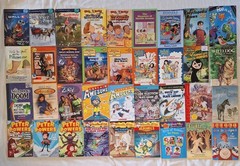 Easy Beginners Chapter 100+ Book Lot Young Readers Boys & Girls Series Mixed