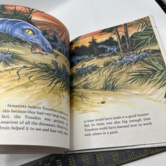 Dinosaur Hardcover Books 1991 Janet Riehecky The Child’s World Series 18 Books