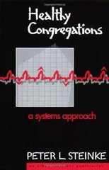 Healthy Congregations – Paperback, by Steinke Peter L. – Acceptable