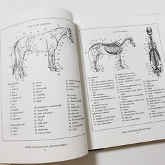 Horse Gaits, Balance and Movement by Susan E. Harris 1993 HC DJ