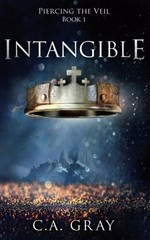 INTANGIBLE (PIERCING THE VEIL) (VOLUME 1) By C A Gray **BRAND NEW**