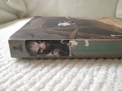Demon’s Eye by Stephen Gresham 1989 Zebra Horror 1st Print PB Mass Market