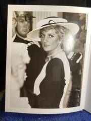 Vintage Diana Unseen Archives Alison Gauntlet Paragon Publishing 383 Pages