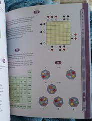 IQ Puzzles, Capella, Arcturus Publishing Limited, 2008, Excellent Condition