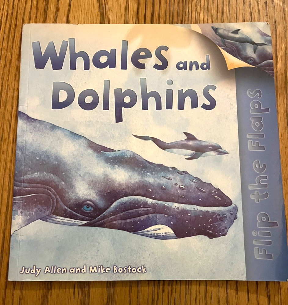 Flip The Flaps: Whales and Dolphins – Paperback By Allen, Judy – GOOD