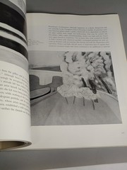Vtg MILTON AVERY By Barbara Haskell Paperback Whitney Museum American Art 1st Ed