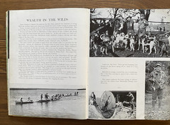 Empire Georgia Today in Pictures and Paragraphs 1936 First Edition HC