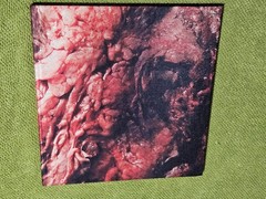 GUTS by Tim Palen RARE Horror/Photography HB Book – Saw Hostel Eli Roth- VF/NM!