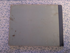 Crazy Quilt: A Story of A Piebald Pony, Illustrated, Paul Brown 1934