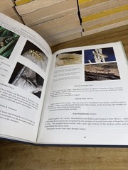 American stoneflies: A photographic guide to the Plecoptera by Bill P. Stark