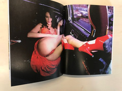 HOT CHEEKS, edition Skylight 2011 4. Edition, Aktfotografie: 392 Seiten BDSM NEU