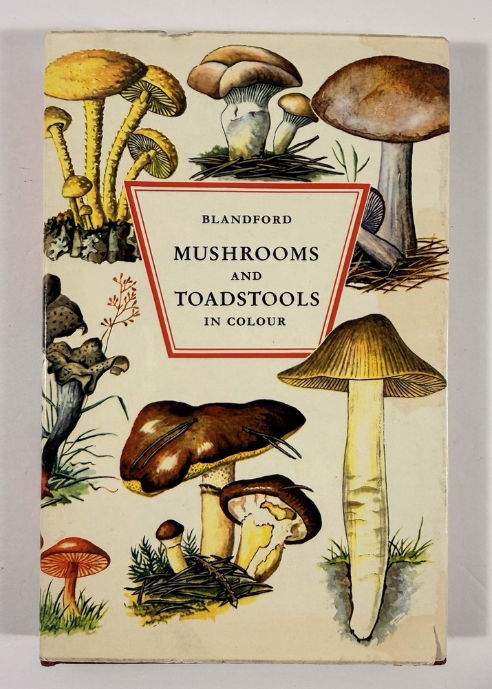 1961 Mushrooms Toadstools in Colour Blandford First Edition Dust Jacket Hvass