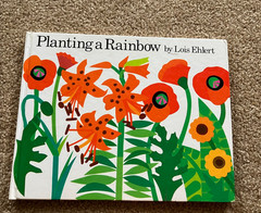 Lot 10 LOIS EHLERT Books HC — well loved and unique set