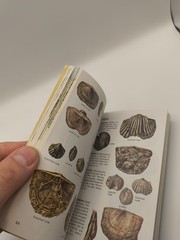 Fossils A Guide To Prehistoric Life A Golden Nature Guide Vintage 1962 Dinosaurs