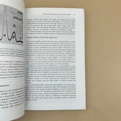Neuroscience Historical Introduction Glickstein 2017 MIT Press Paperback