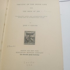 1891 illustrations of the Book of Job