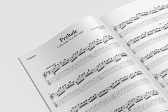 The Classical Cuatro Puertorriqueño: Mastering the Greats