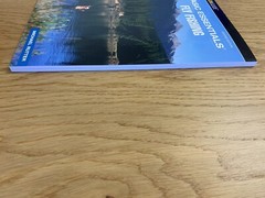 Basic Essentials Ser.: Basic Essentials Fly Fishing by Michael Rutter (2006,..58