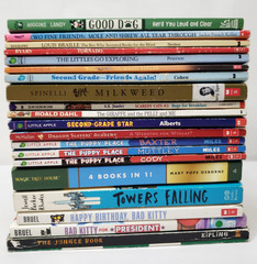 3rd Grade Chapter Books For Kids Lot of 20 Classics Homeschool Teacher Classroom