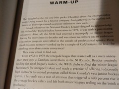 BIG BUCKS & BLUE PUCKS 1997 book WORLD HOCKY ASSOCIATION Murray Greig WHA