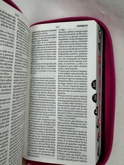 Biblia Chequera Letra 8.5 puntos RV1960 imit piel rosa fucsia gris claro con …